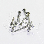 Винты для iPhone X/Xs/Xs Max/11/11 Pro/11 Pro Max/12/12 mini/12 Pro/12 Pro Max/13/13 mini/13 Pro/13 Pro Max/14/14 Pro/14 Plus/14 Pro Max/15/15 Pro/15 Plus/15 Pro Max/16/16e/16 Pro/16 Pro Max внешний (10 шт.) Серебро